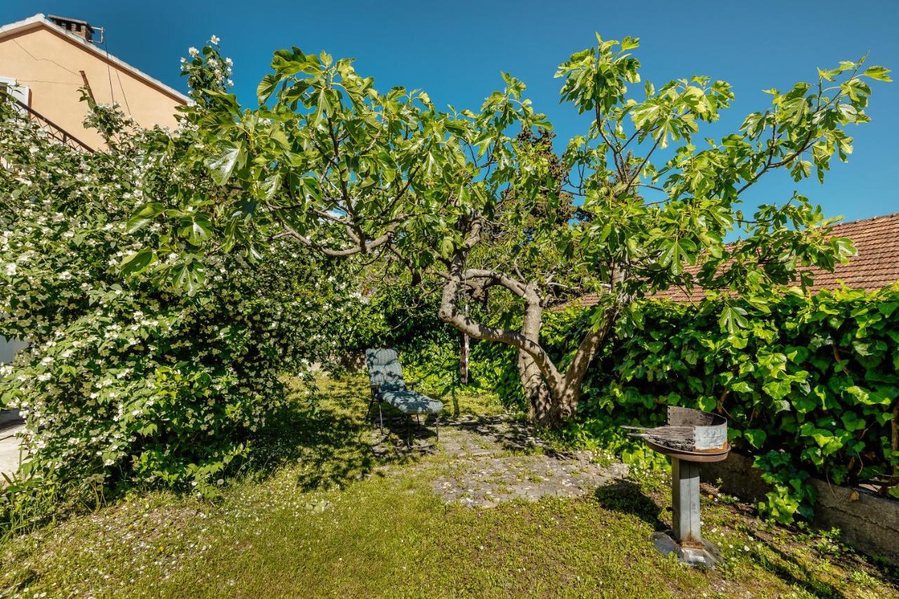 Green Garden Apartments Herceg Novi Luaran gambar
