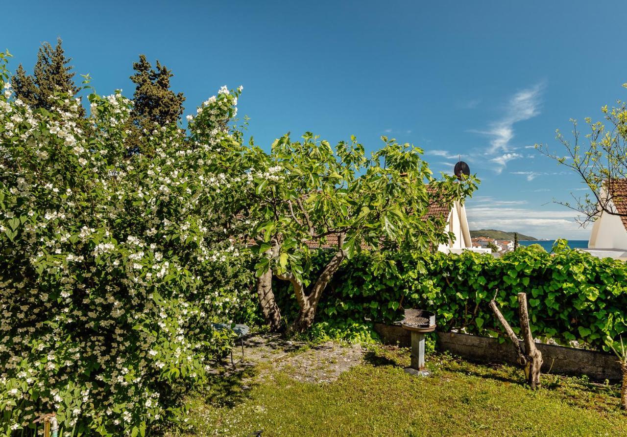 Green Garden Apartments Herceg Novi Luaran gambar